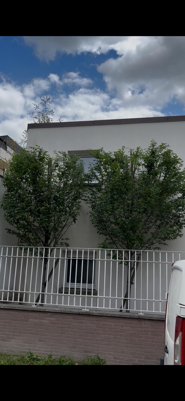 Taille d'arbres d'ornement devant une façade