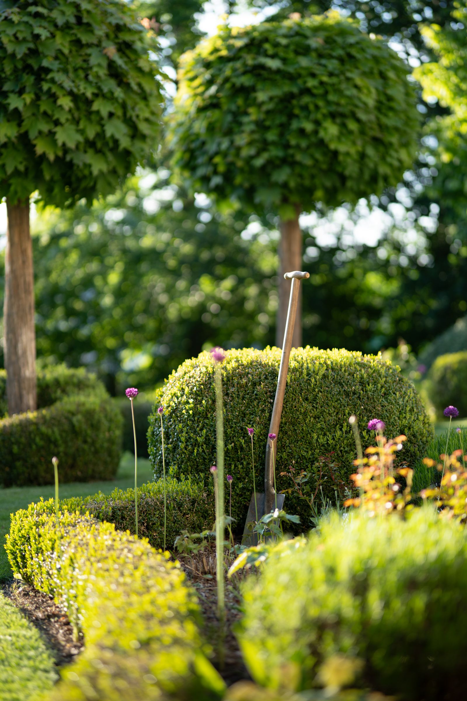 Aménagement de jardin avec massifs et topiaires